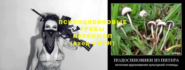 мдпв Сатка