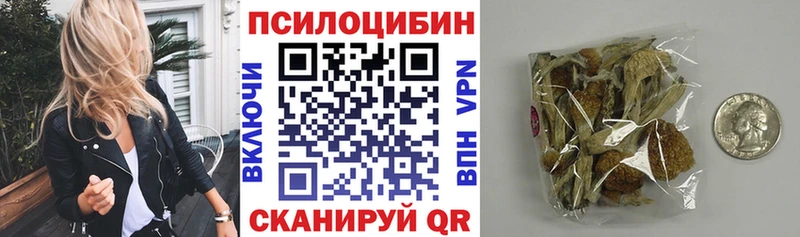 как найти Касли Псилоцибиновые грибы MAGIC MUSHROOMS